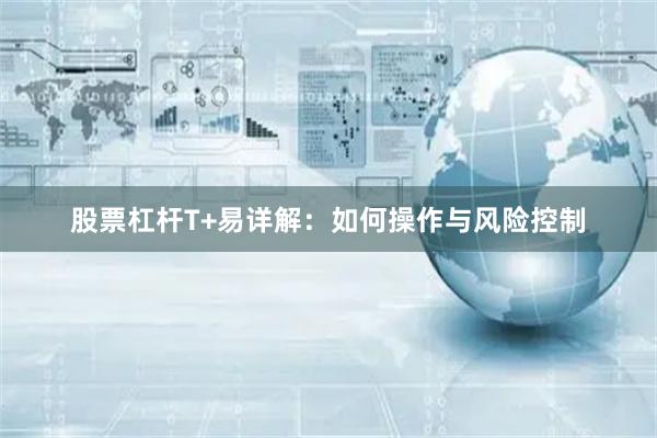 股票杠杆T+易详解：如何操作与风险控制