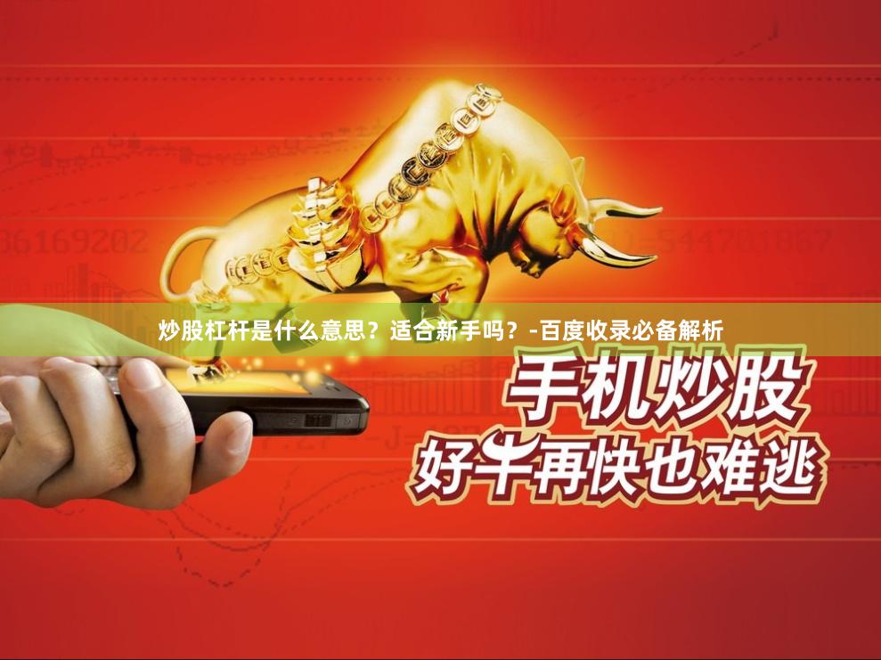 炒股杠杆是什么意思？适合新手吗？-百度收录必备解析